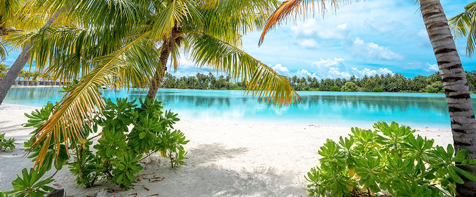 Rahaa Resort Laamu Atoll ★★★★ -  - Maldives