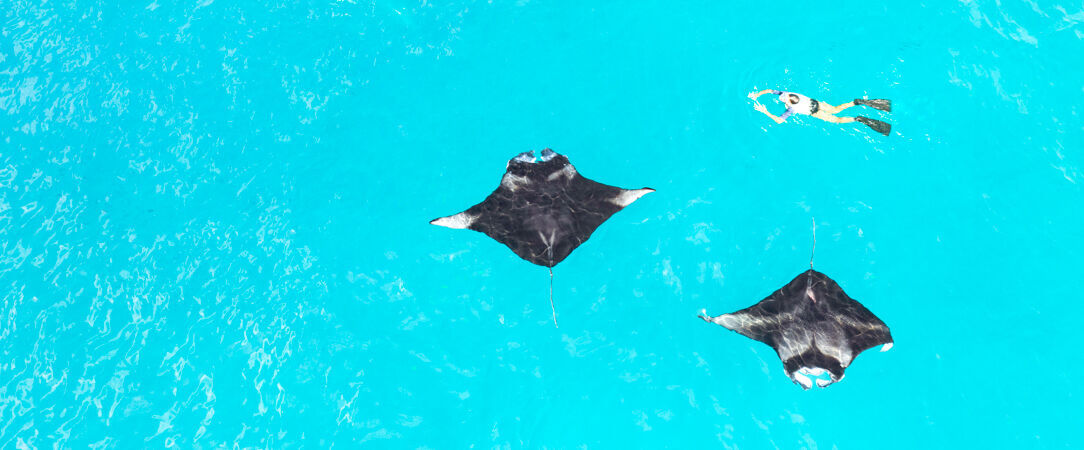 The Westin Maldives Miriandhoo Resort ★★★★★ - Un hôtel d'exception entouré par les récifs coralliens aux Maldives. - Maldives