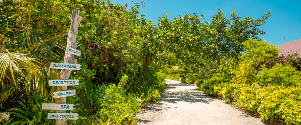 Hondaafushi Island Resort ★★★★ - Havre de calme & de tranquillité aux Maldives. - Maldives