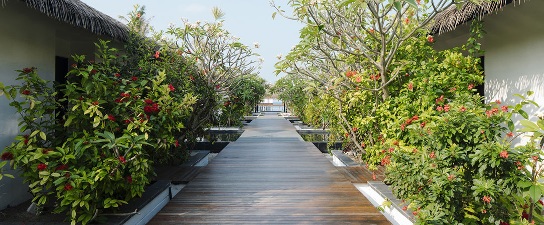 Noku Maldives, Vignette Collection ★★★★★ - Le luxe d’un voyage All Inclusive & d’une nature enchantée. - Maldives