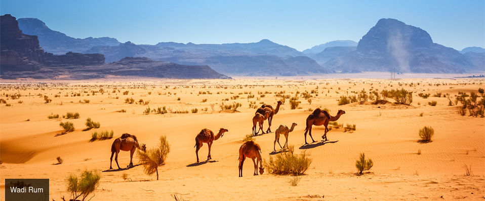 Terres sacrées de Jordanie - Circuit privatif de 7 nuits entre trésors antiques, déserts mythiques et paysages sacrés. - Jordanie : Amman, Pétra & Wadi Rum