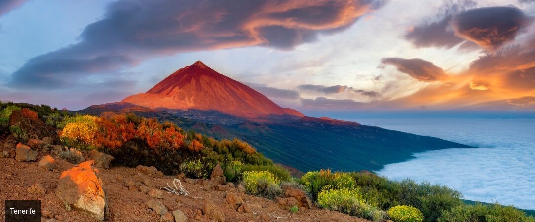 Landmar Costa Los Gigantes ★★★★ - Escapade familiale face à l'Atlantique, en formule All Inclusive. - Tenerife, Îles Canaries