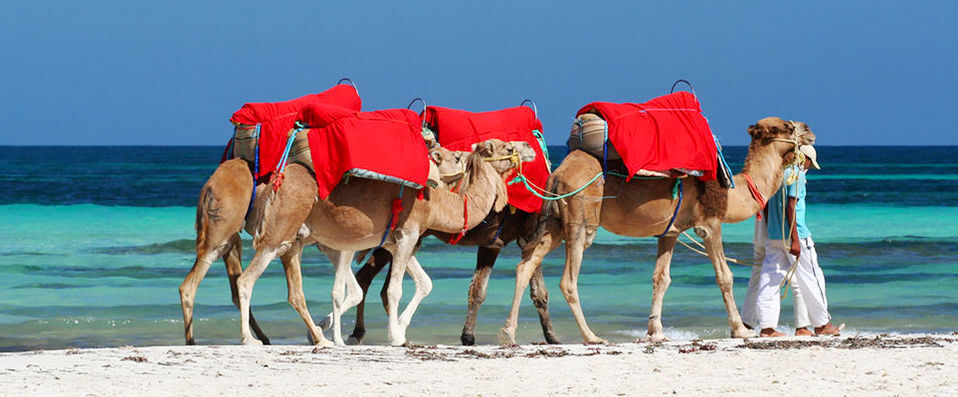 Hôtel Palm Azur ★★★★ - Resort familial face à la mer sur l'île de Djerba. - Djerba, Tunisie