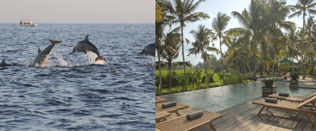 Merveilleux séjour en 3 temps à Bali - Combiné de 7 à 18 nuits à Bali, entre nature luxuriante, traditions balinaises et douceur balnéaire. - Bali : Ubud, Lovina & Seminyak