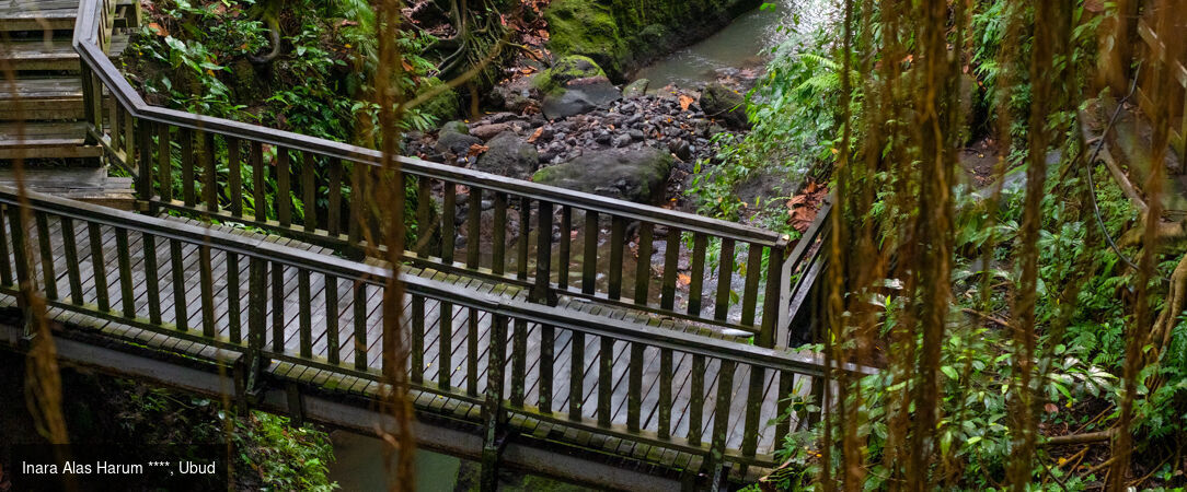 Merveilleux séjour en 3 temps à Bali - Combiné de 7 à 18 jours à Bali, entre nature luxuriante, traditions balinaises et douceur balnéaire. - Bali : Ubud, Lovina & Seminyak