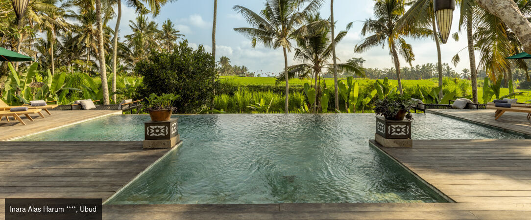 Merveilleux séjour en 3 temps à Bali - Combiné de 7 à 18 jours à Bali, entre nature luxuriante, traditions balinaises et douceur balnéaire. - Bali : Ubud, Lovina & Seminyak