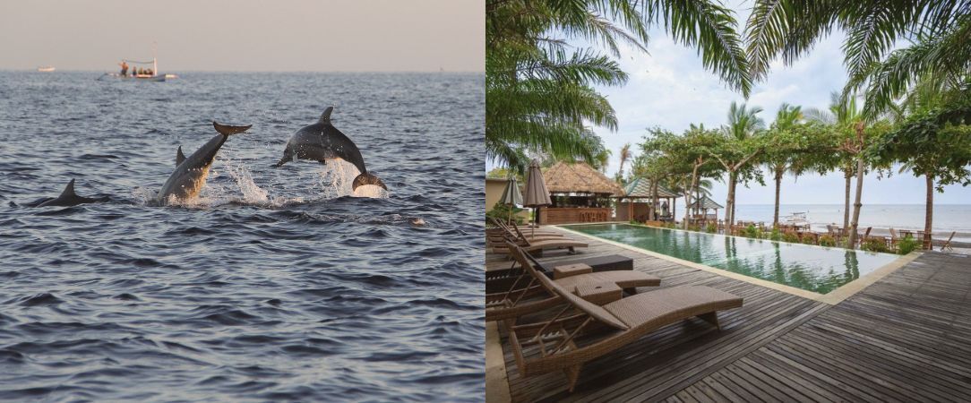 Merveilleux séjour en 3 temps à Bali - Combiné de 7 à 18 jours à Bali, entre nature luxuriante, traditions balinaises et douceur balnéaire. - Bali : Ubud, Lovina & Seminyak