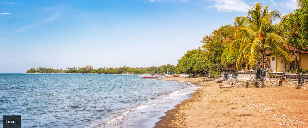 Merveilleux séjour en 3 temps à Bali - Combiné de 7 à 18 jours à Bali, entre nature luxuriante, traditions balinaises et douceur balnéaire. - Bali : Ubud, Lovina & Seminyak