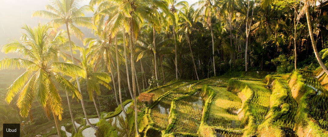 Merveilleux séjour en 3 temps à Bali - Combiné de 7 à 18 jours à Bali, entre nature luxuriante, traditions balinaises et douceur balnéaire. - Bali : Ubud, Lovina & Seminyak