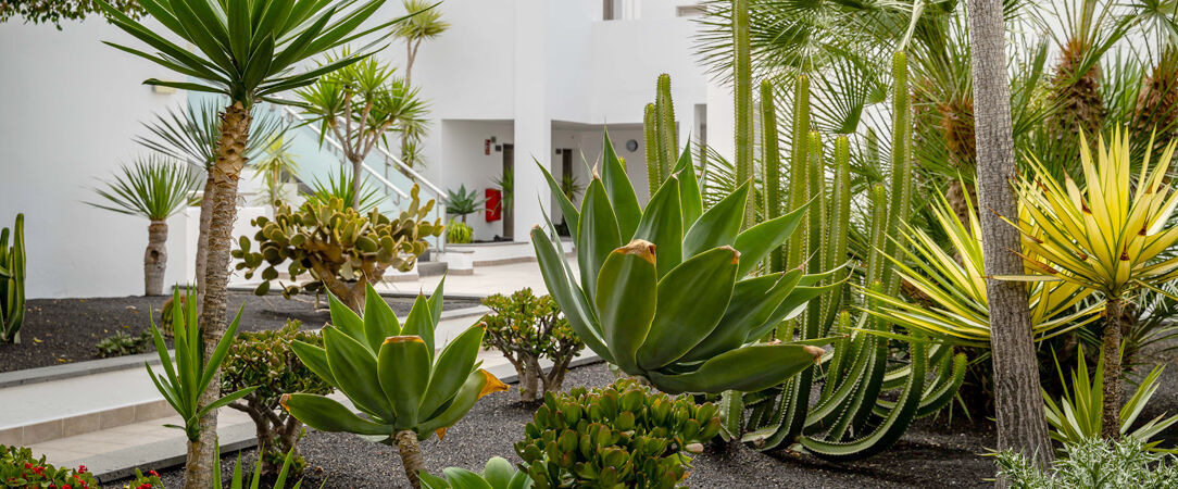 Hotel Lanzarote Village ★★★★ - Une île, un océan & une adresse : voyage inoubliable à Lanzarote. - Lanzarote, Espagne